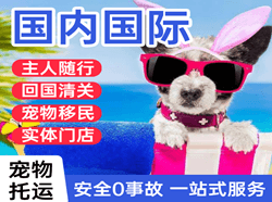两江航空物流国际宠物托运 【国